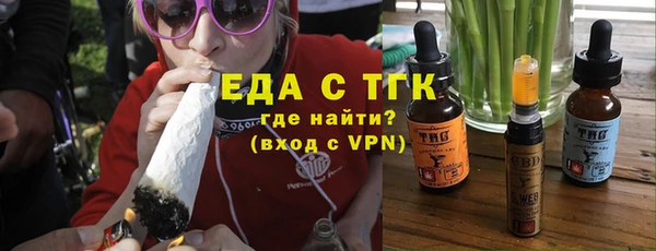 хмурый Алексин