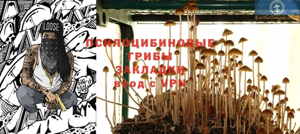 гидропоника Алзамай