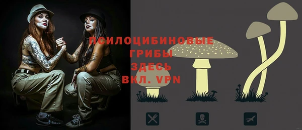 гидропоника Алзамай
