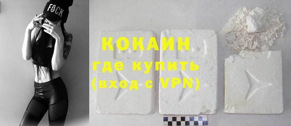 индика Алексеевка