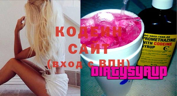 хмурый Алексин