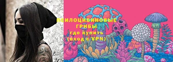 индика Алексеевка
