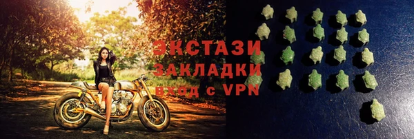 хмурый Алексин