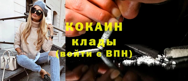 индика Алексеевка